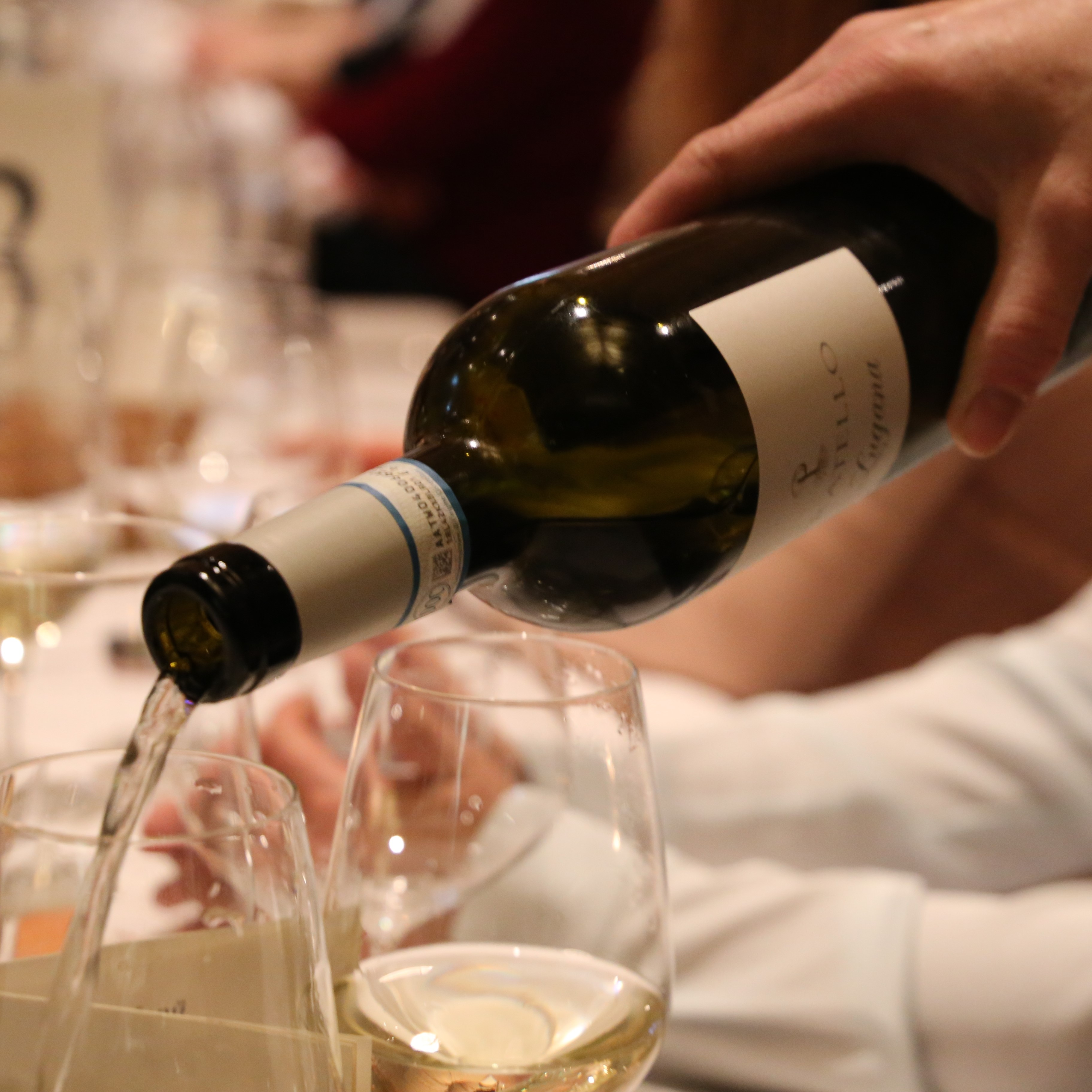 WEINPROBE | Sommer, Sonne, Wein! | FR 1. August 25 