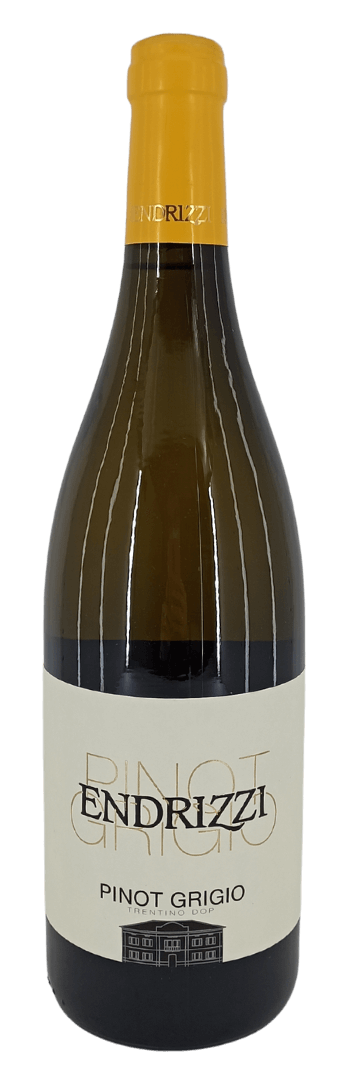 Endrizzi Pinot Grigio 2022