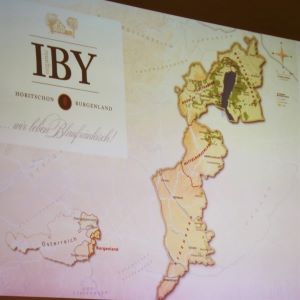 Burgenland-Karte mit Lage des Weinguts Iby