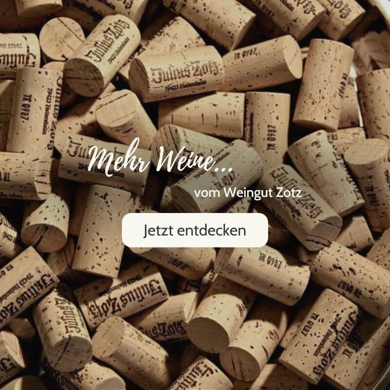 Entdecken Sie unsere Weine vom Weingut Julius Zotz