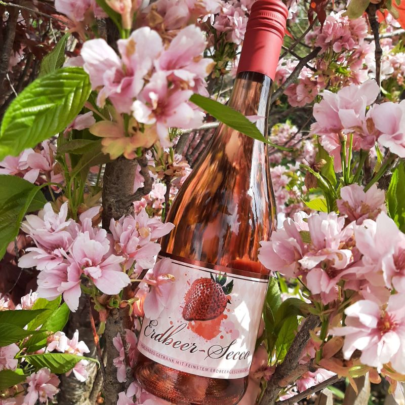 Erdbeer-Secco | Wein-Genuss.de Erdbeer-Secco | Wein-Genuss.de